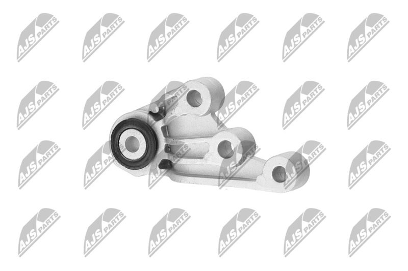 Paigutus, Mootor, NTY ZPS-CH-120