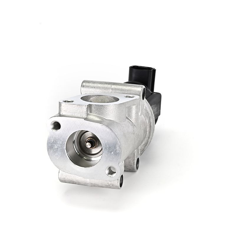 AGR-Ventil EG10403-12B1