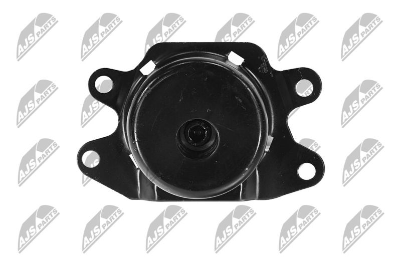 Paigutus, Mootor, NTY ZPS-PL-053
