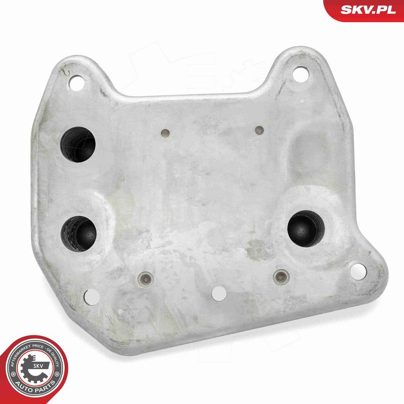 ESEN SKV 31SKV282 Oil Cooler, engine oil