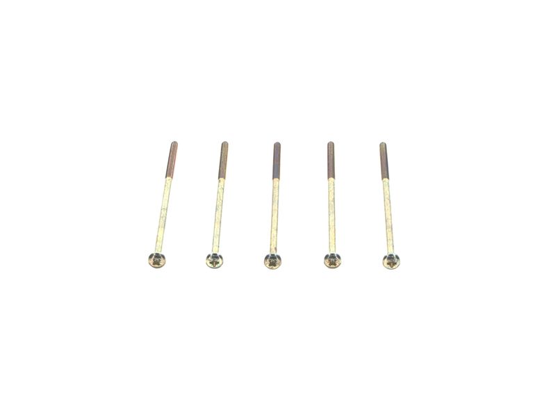 Surub 1 123 429 203 BOSCH