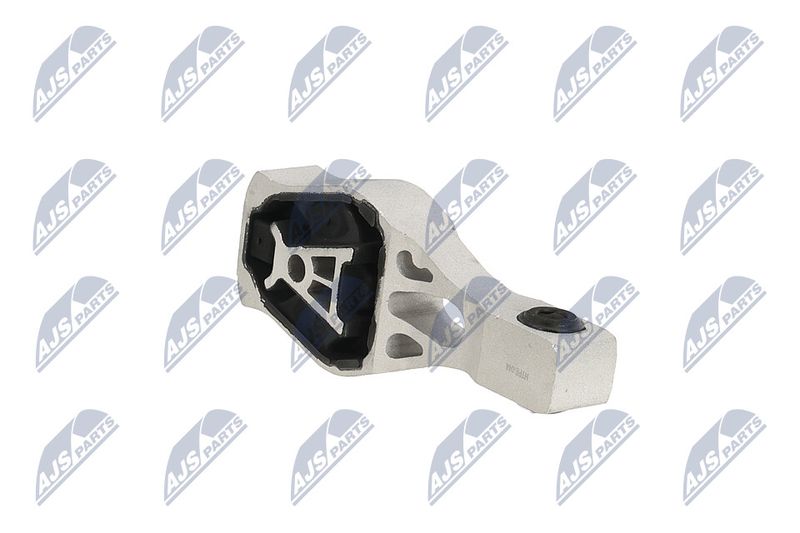 Paigutus, Mootor, NTY ZPS-PE-044
