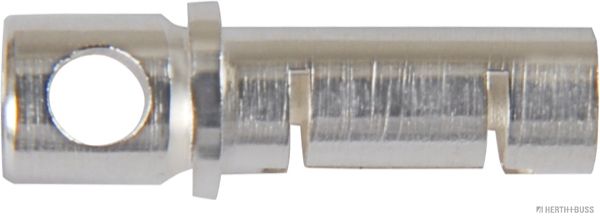 50253910.JPG