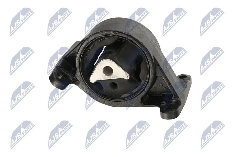 Paigutus, Mootor, NTY ZPS-CH-043