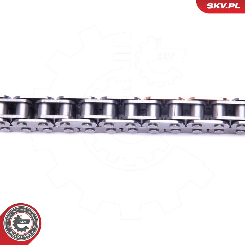 Mootori keti komplekt, ESEN SKV 21SKV205