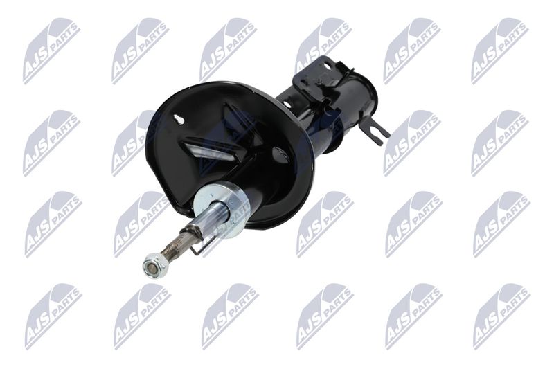 Amort, NTY A-CH-053