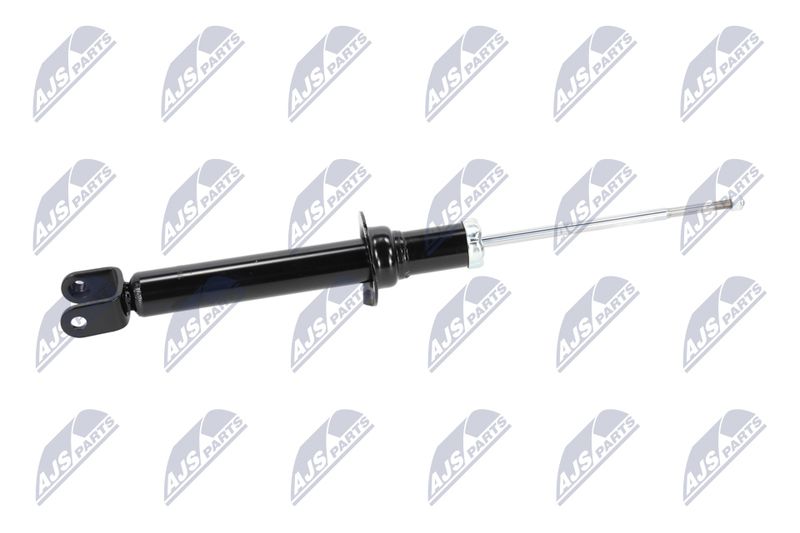 Amort, NTY A-CH-055