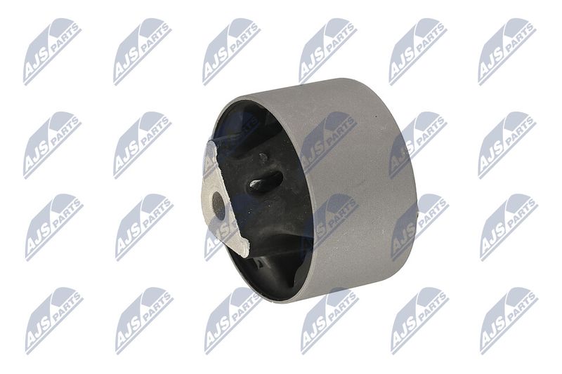 Paigutus, Mootor, NTY ZPS-CH-039