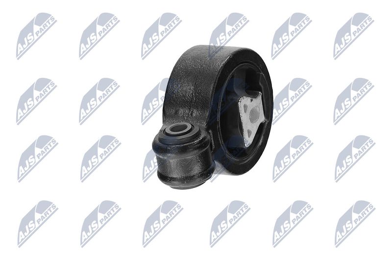 Paigutus, Mootor, NTY ZPS-CH-117