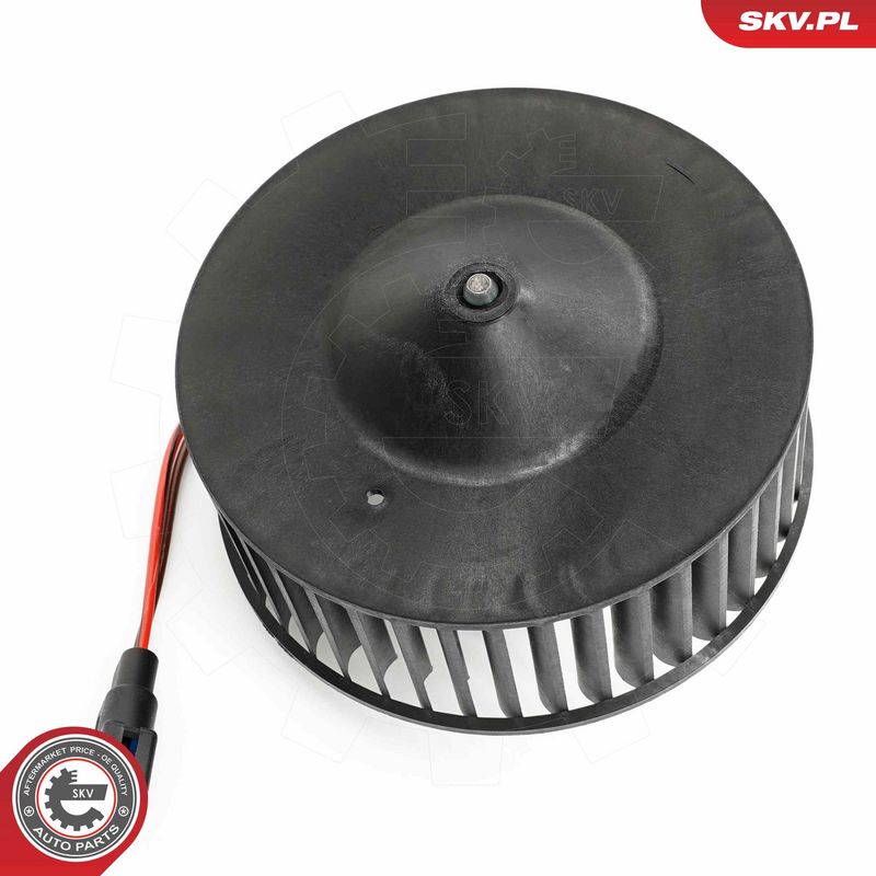 Salongipuhur, ESEN SKV...