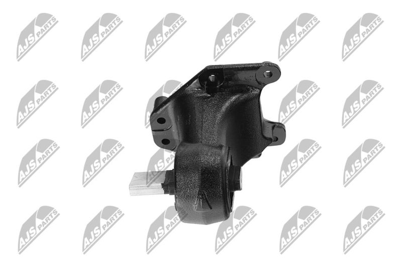 Paigutus, Mootor, NTY ZPS-CH-173