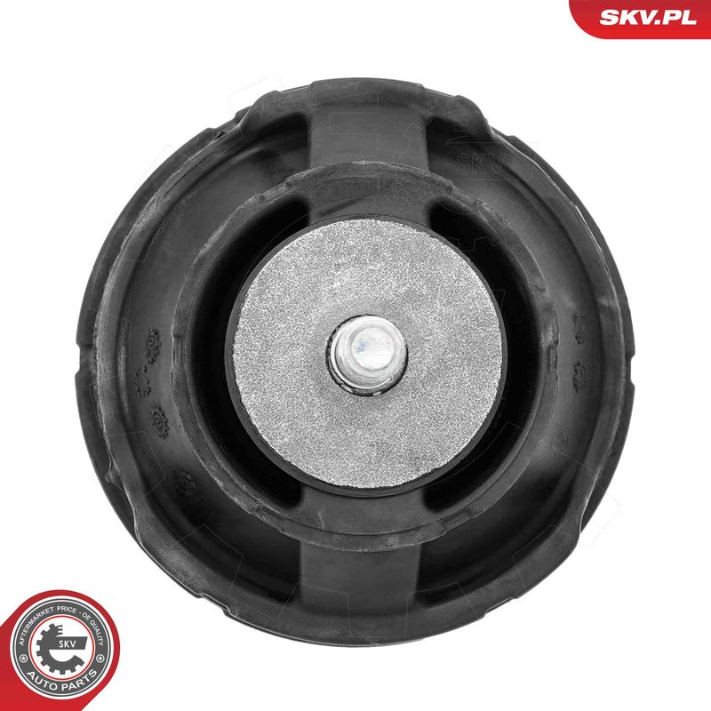 ESEN SKV 75SKV197 Mounting, engine