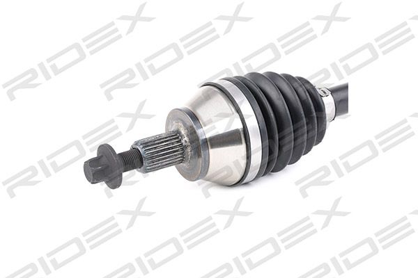 13628938_35.JPG