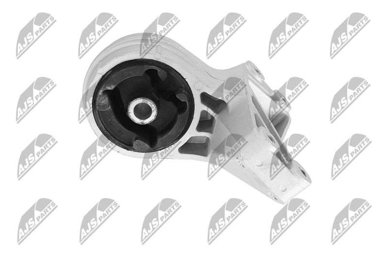 Paigutus, Mootor, NTY ZPS-CH-148