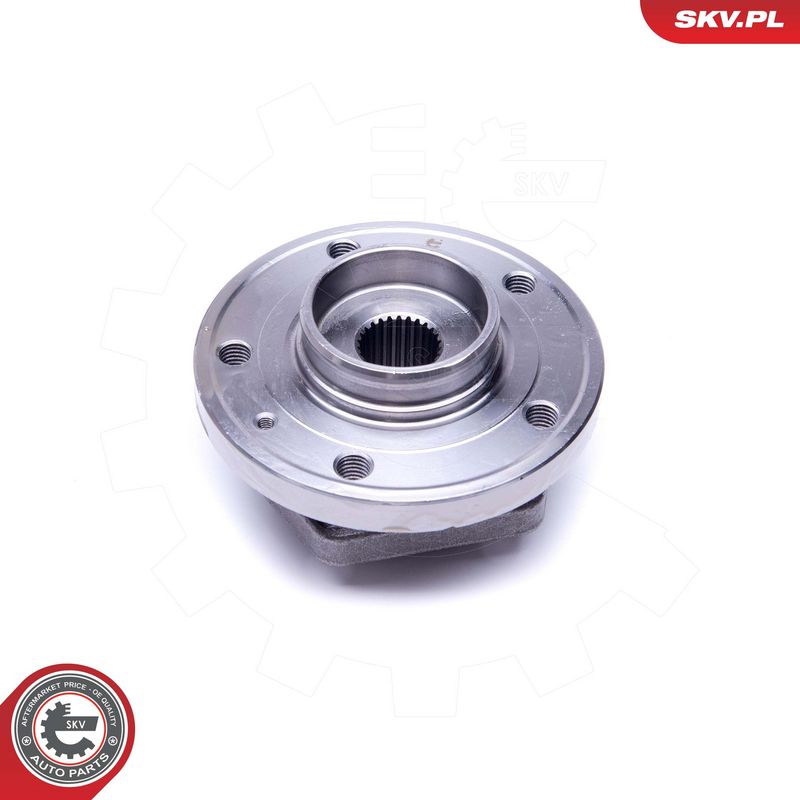 Rattalaagrikomplekt, ESEN SKV 29SKV411