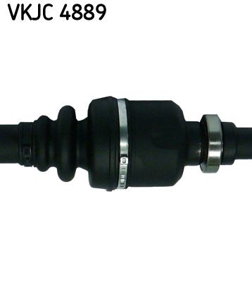 VKJC 4889_3.JPG