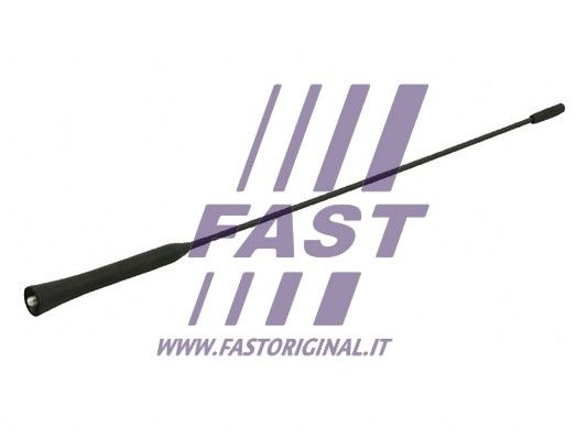FT92504_1_1.JPG