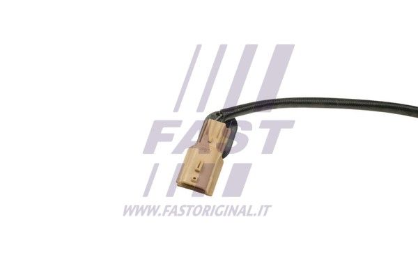 FT80271_3_1.JPG