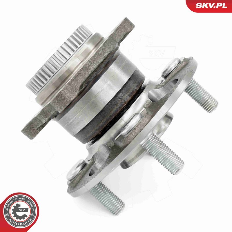 ESEN SKV 29SKV671 Wheel Bearing Kit