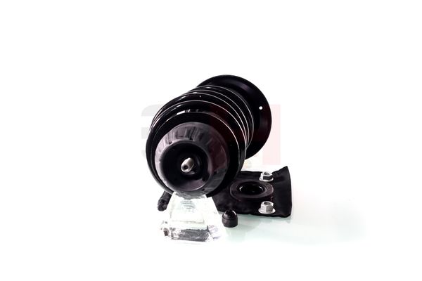 GH GH-354582C02 Suspension Strut