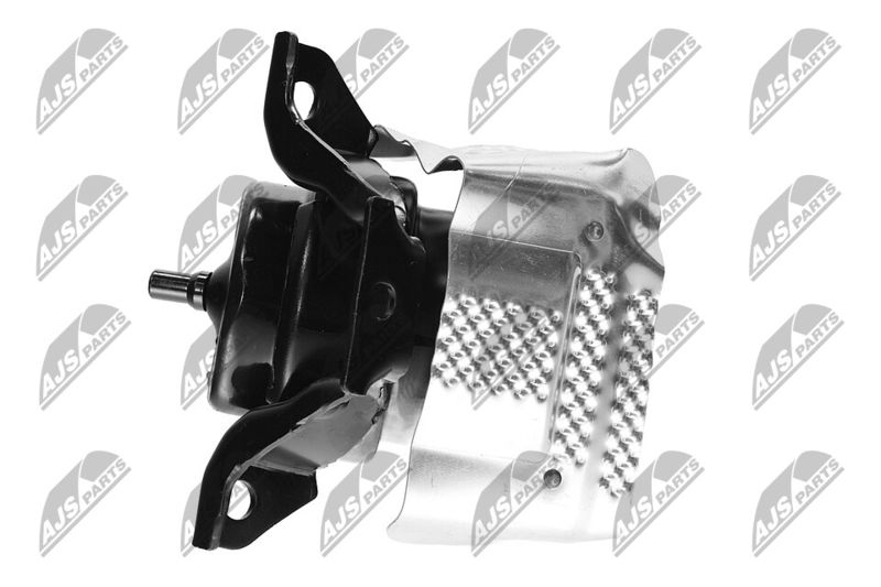 Paigutus, Mootor, NTY ZPS-CH-150