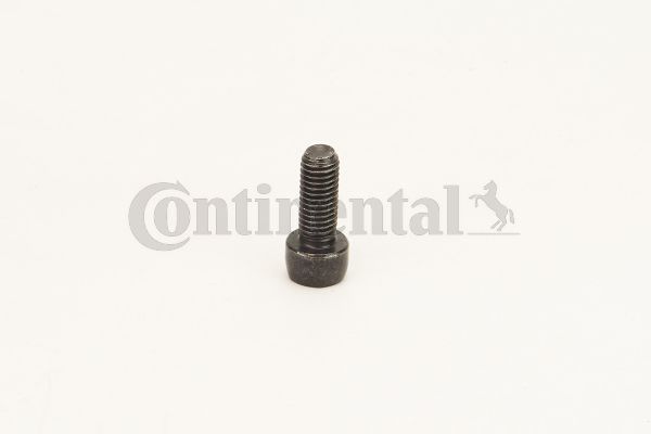 V49070.JPG