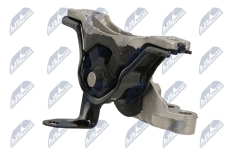 Paigutus, Mootor, NTY ZPS-PL-041