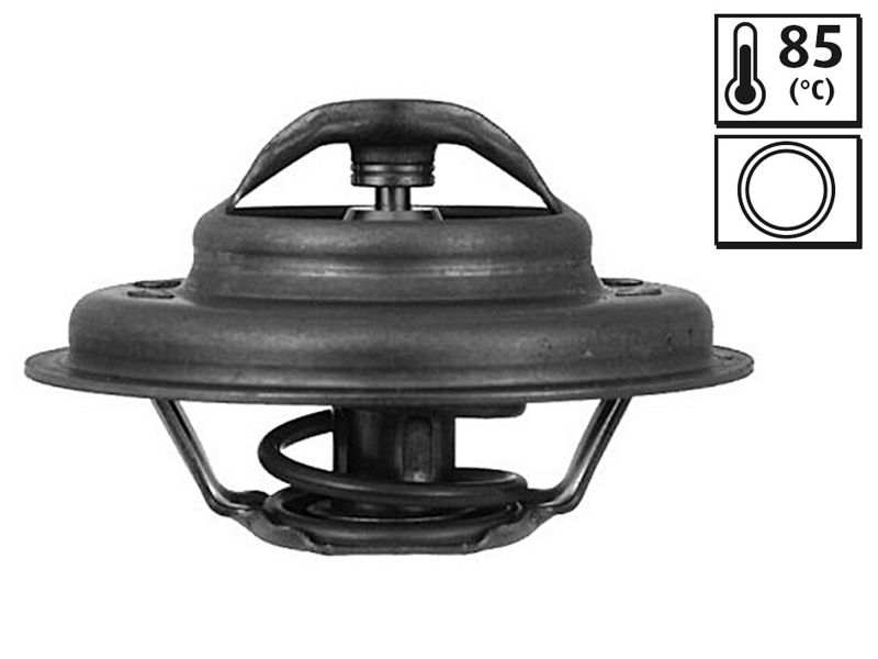 Termostat, chladivo 819929