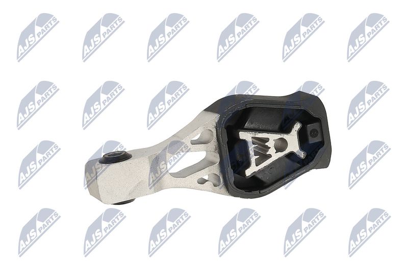 Paigutus, Mootor, NTY ZPS-PE-022