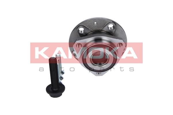 KAMOKA 5500066 Wheel Bearing Kit