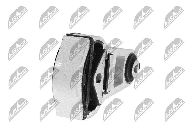 Paigutus, Mootor, NTY ZPS-FR-055