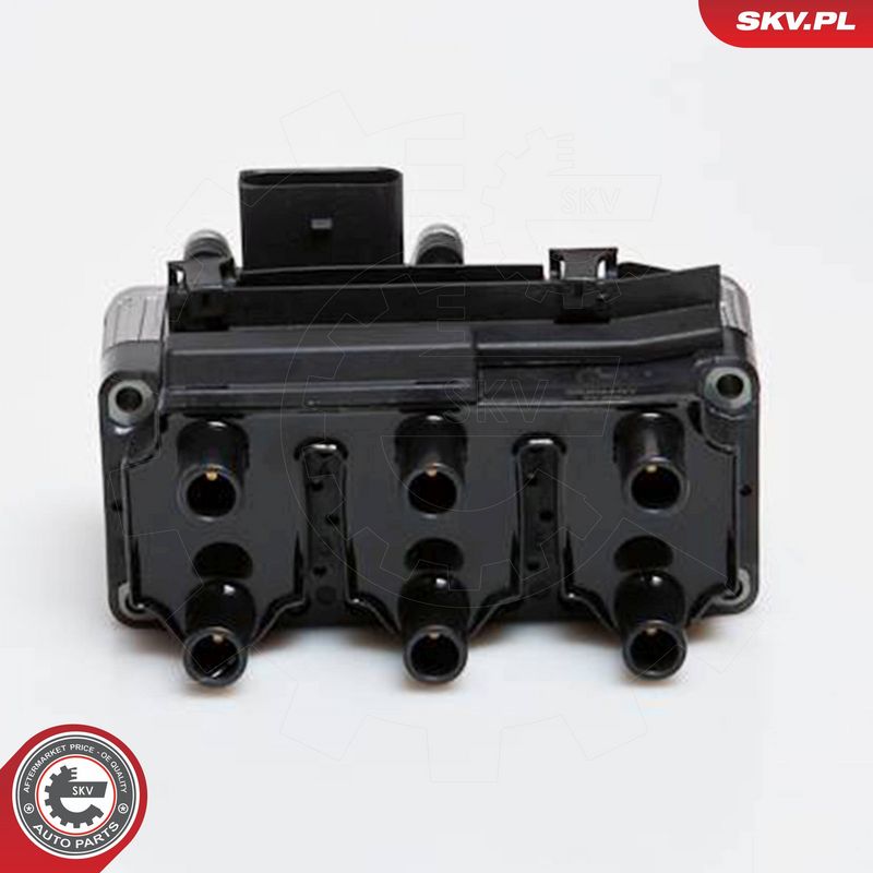 ESEN SKV 03SKV160 Ignition Coil