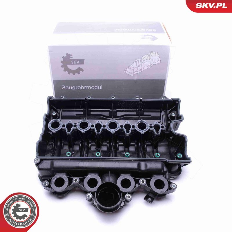 ESEN SKV 49SKV021 Intake Manifold Module
