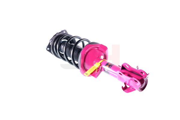 Vedruamort, GH GH-352298C01