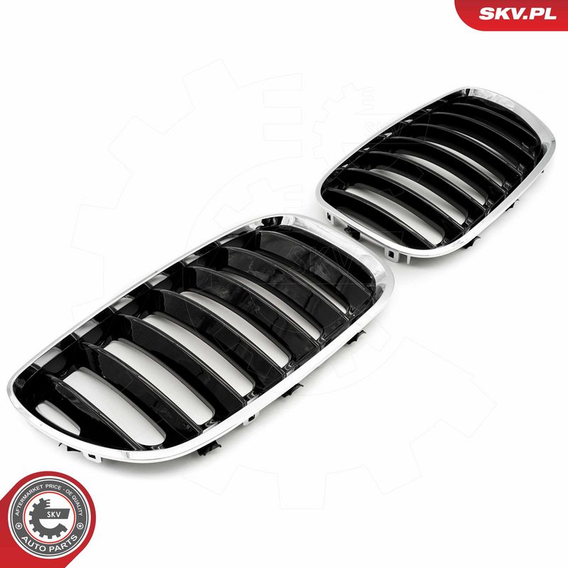 Radiaatorivõre, ESEN SKV 66SKV280