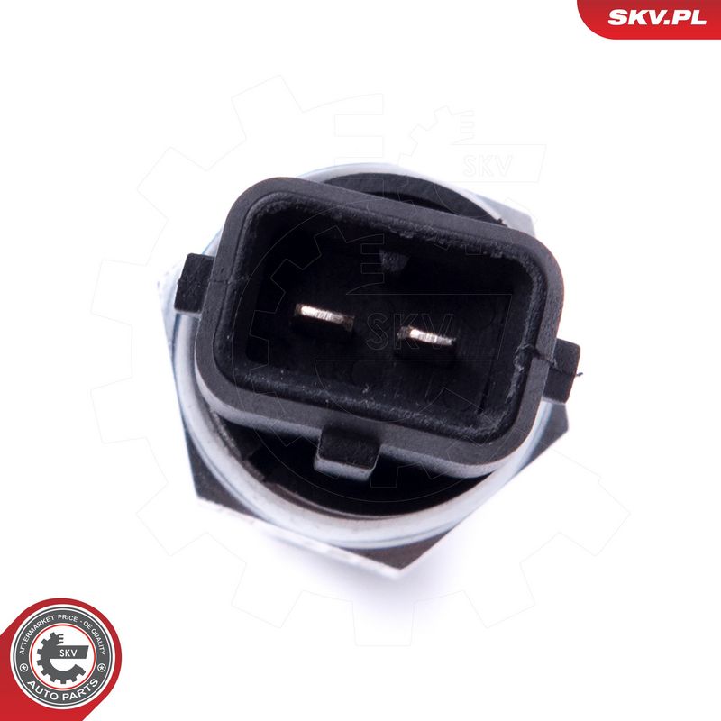 Andur, Mootoriõlitase, ESEN SKV 17SKV741