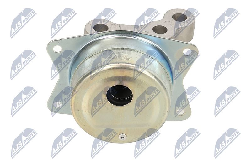 Paigutus, Mootor, NTY ZPS-PL-049