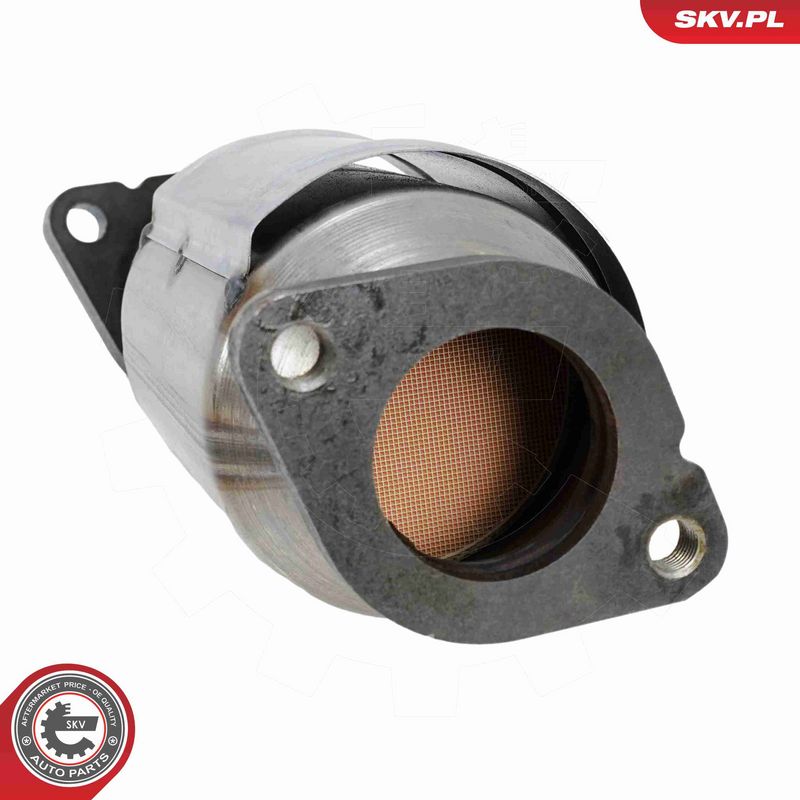 ESEN SKV 62SKV170 Katalizatorius