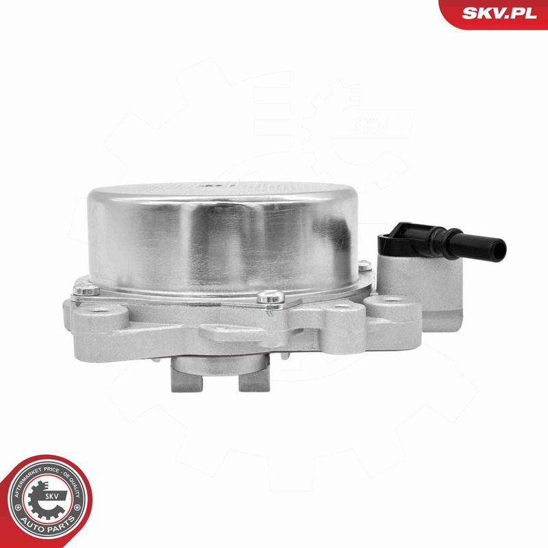 ESEN SKV 18SKV089 Vacuum Pump, braking system