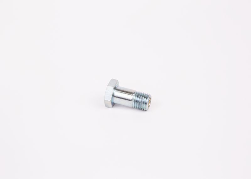Surub 1 463 456 344 BOSCH
