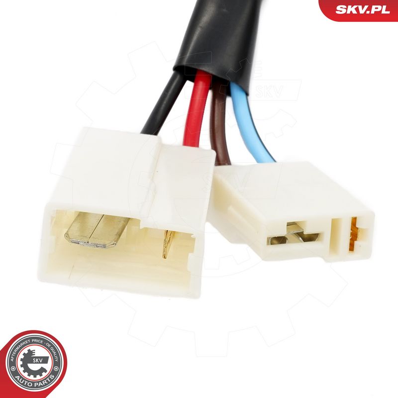 Roolilukk, ESEN SKV 65SKV219