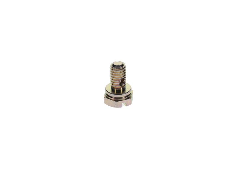 Surub 1 413 453 025 BOSCH