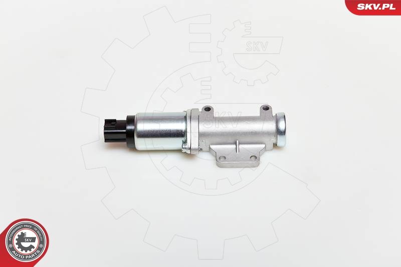 ESEN SKV 08SKV218 Idle Control Valve, air supply