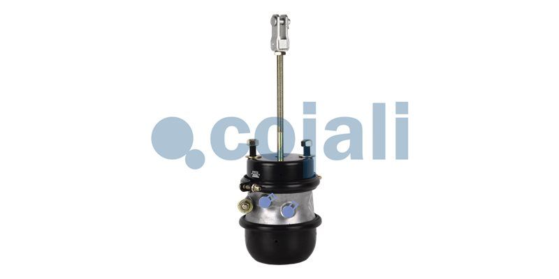 Cilindru multifunctional COJALI 2251424