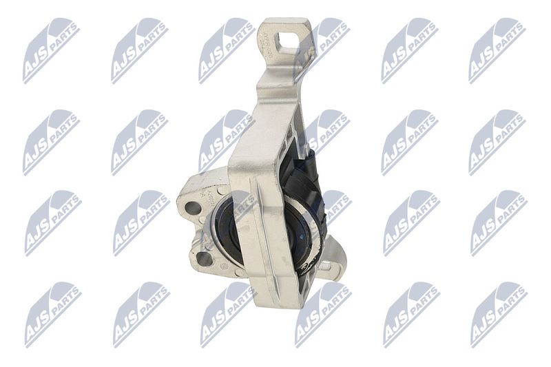 Paigutus, Mootor, NTY ZPS-FR-020