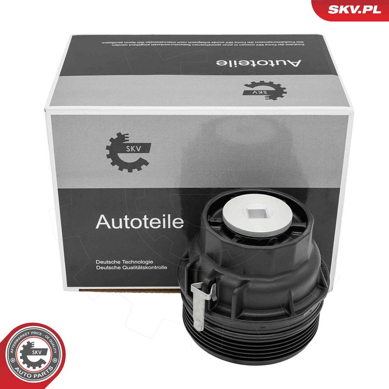 31SKV462