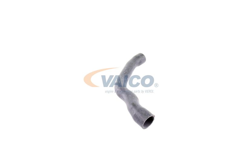 VAICO V30-2099 Radiator Hose