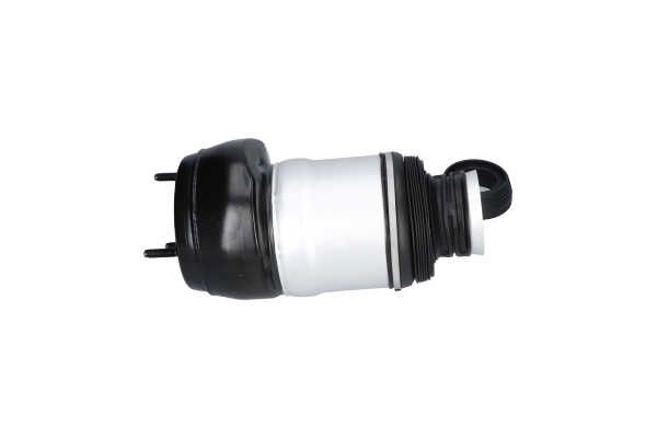 Kavo Parts SAS-10049 Air Spring, suspension