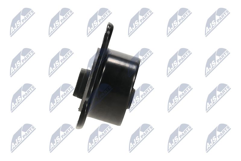 Paigutus, Mootor, NTY ZPS-MS-094
