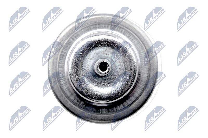 Kütuse surveregulaator, NTY PRC-CH-001